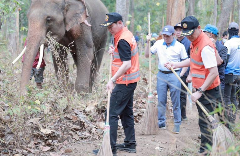 13 มีนาคม วันช้างไทย กับภาระกิจ ช่วยดับไฟป่า ชาวช้างแม่แตงรวมพลังทำแนวกันไฟ จัดโครงการ “ชาวช้างช่วยดับไฟป่า” ต่อเนื่องปีที่ 7 ลดความเสี่ยงไฟป่าและหมอกควันเชียงใหม่