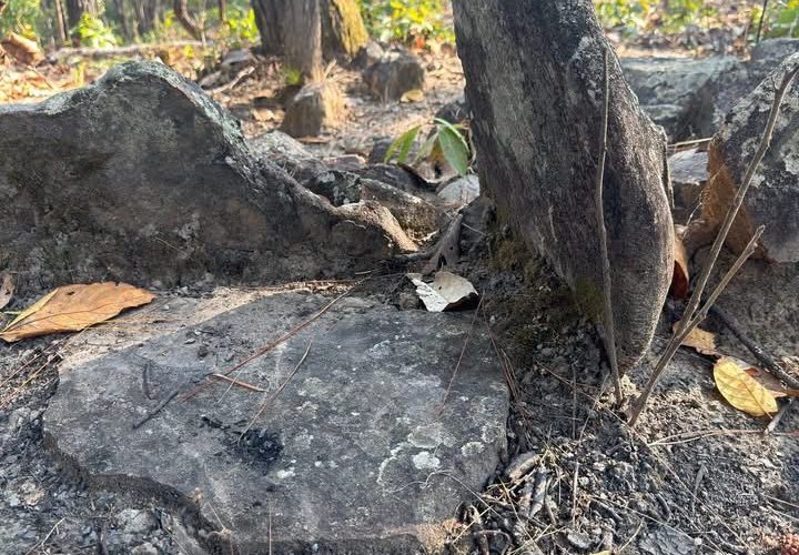 ค้นพบหินวงเป็นคาดร่องรอยอารยธรรมโบราณ