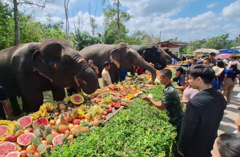 โรงพยาบาลช้างกระบี่ จัดงาน “วันช้างไทย” ประจำปี 2569 รณรงค์การอนุรักษ์ช้าง สัตว์ประจำชาติไทย