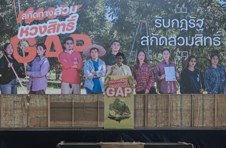 สกัดทางสวม หวงสิทธิ์ GAP