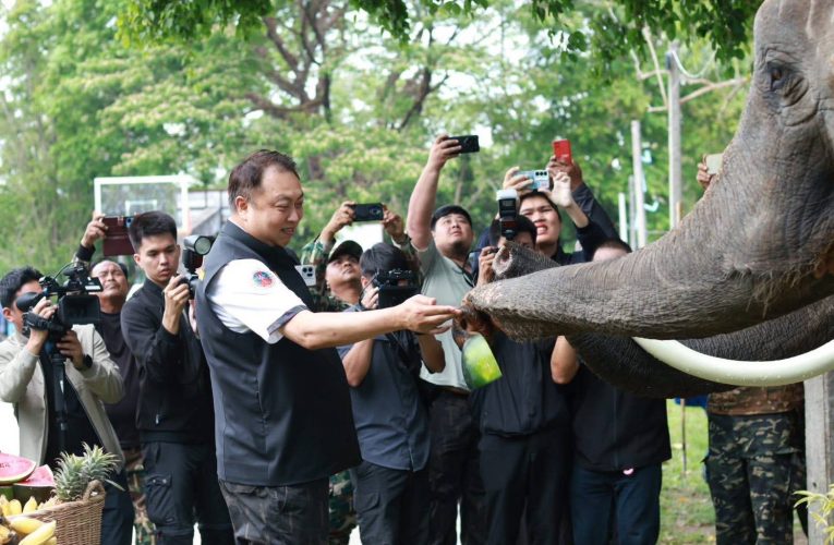 “วันช้างไทย” ประจำปี พ.ศ. 2569