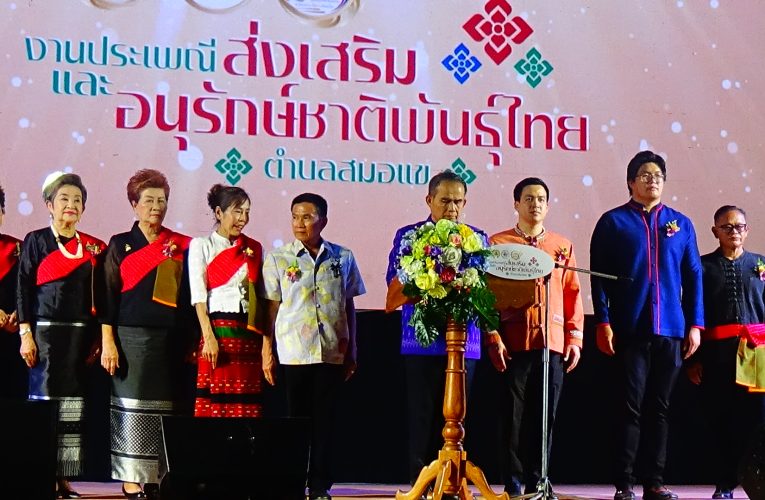 เทศบาลตำบลสมอแข พิษณุโลก จัดงานในงานประเพณีส่งเสริมและอนุรักษ์ชาติพันธุ์ไทย (ไท-ยวน) มีกลุ่มชาติพันธุ์ไทย-ยวน 16 แห่ง ทั่วประเทศร่วมงาน