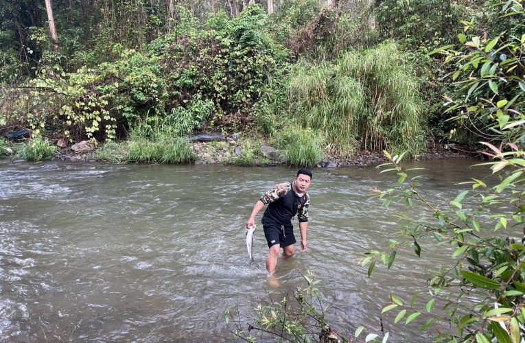 พบปลาในน้ำลางตายต่อเนื่อง