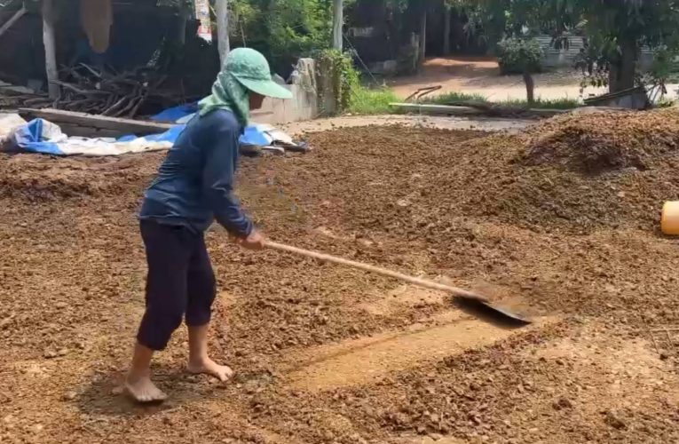 สกลนคร ชี้ทองคำปุ๋ยคอกมูลโคนมราคาถูกกระสอบละ 50 บาท ทางเลือกปุ๋ยแพงยุคสงคราม