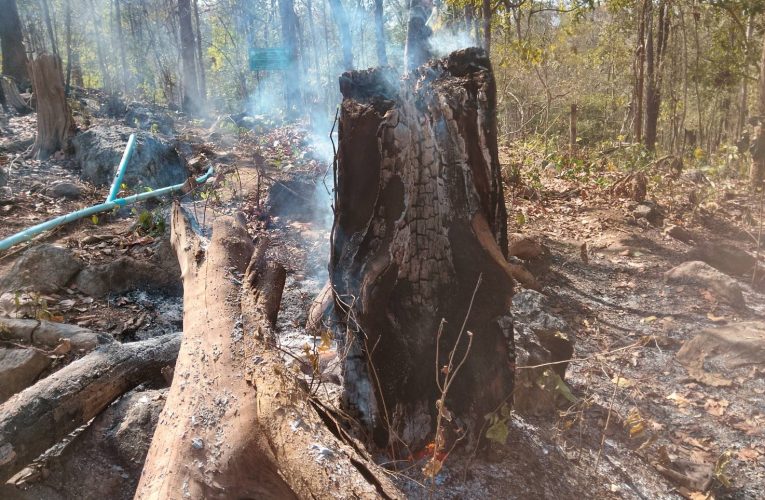ฝนหายไฟมาอีกแล้ว