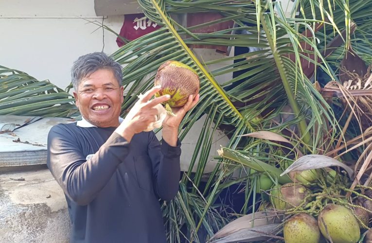 ชัยภูมิยายวัย70สู้ชีวิตพลิกผืนที่ดินแห้งแล้งหันทำสวน ปลูกมะยงชิดขายรายได้ดี