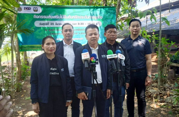สกลนคร กรมพัฒนาธุรกิจฯ ดันไม้ยืนต้นเป็นเครื่องมือทางการเงินยุคใหม่หนุนเกษตรกร…นำ “ทรัพย์ในสวน สร้างเงินในมือ”