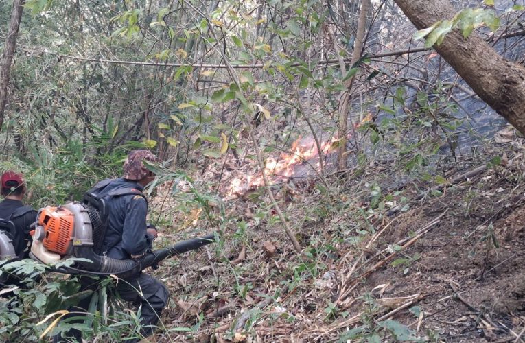 ไฟป่าเริ่มลุกลามไปทั่ว