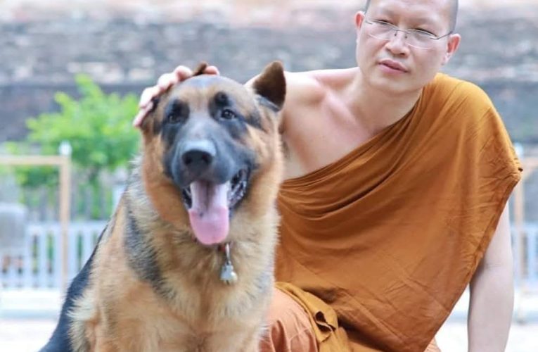 สุดอาลัย “เจ้าทัพ” สุนัขก้นกุฏิพระครูอ๊อด สิ้นใจสงบในวัย 11 ปี