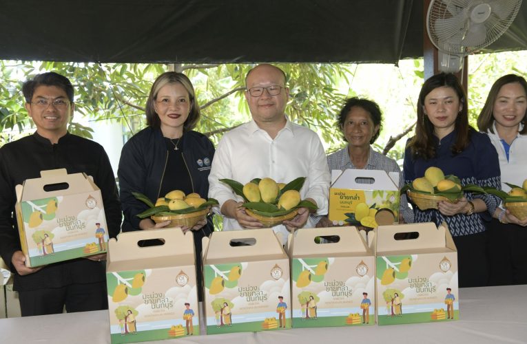 นนทบุรี – หอการค้าไทย เยี่ยมชมมะม่วงยายกล่ำ และทุเรียนเมืองนนท์ ผลิตภัณฑ์สินค้า GI