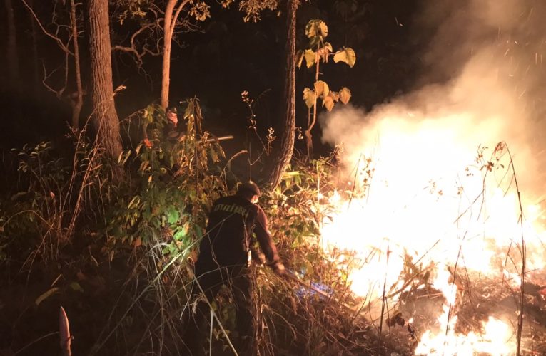 จุดไฟป่ายังพุ่งสูงอย่างต่อเนื่อง