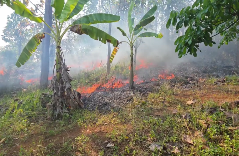 เชียงใหม่/ เกิดไฟป่าใกล้วัดร้อนพระสงฆ์ต้องช่วยดับไฟ