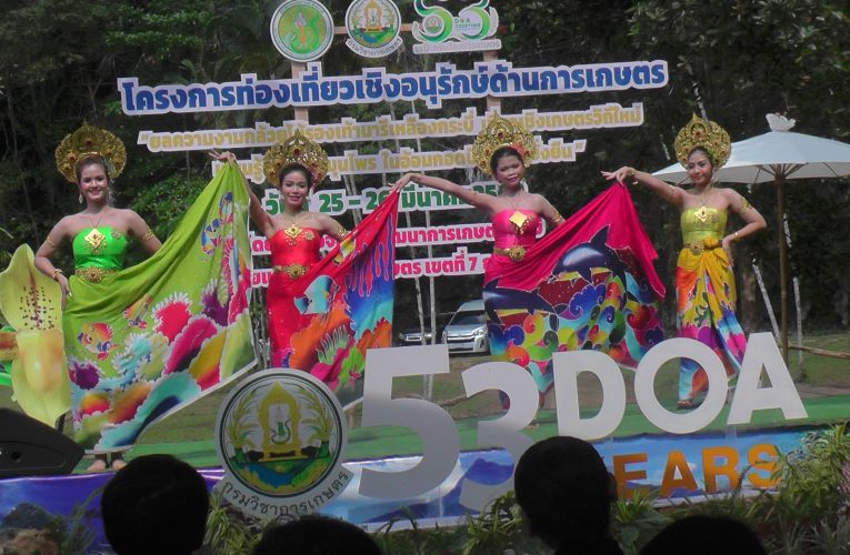 กรมวิชาการเกษตรเชิญเที่ยวงานยลความงามกล้วยไม้รองเท้านารีเหลืองกระบี่