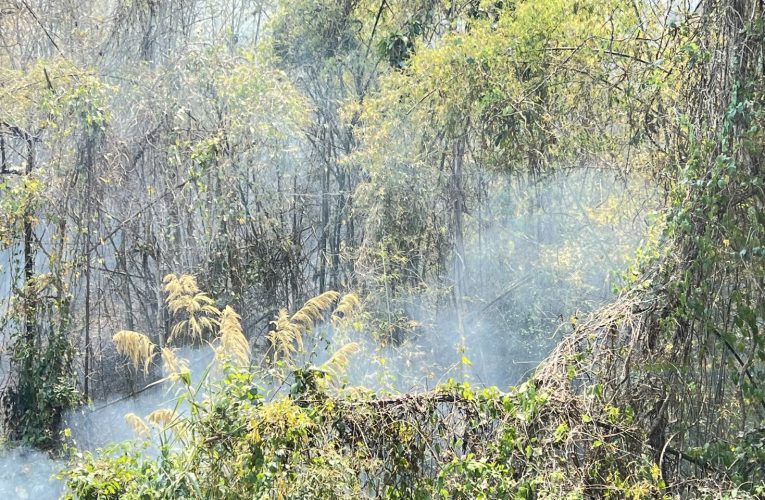 ไฟป่าหนักหน่วงมากขึ้น