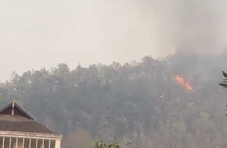 ไฟป่าหลังศาลากลางจังหวัด