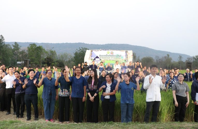 หนองบัวลำภู พ่อเมืองลุ่มภู พีอาร์”เกี่ยวข้าวใต้แสงจันทร์”
