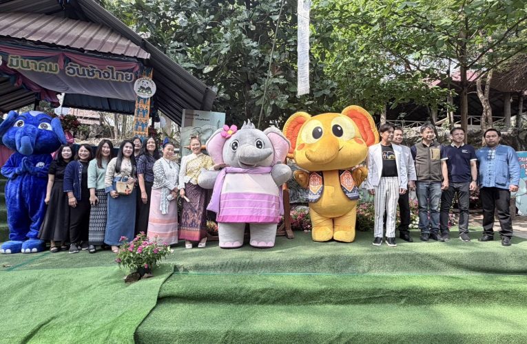 สวนสัตว์เขียงใหม่ จัดกิจกรรมวันช้างไทย ประจำปี 2569 เลี้ยง “ขันโตกช้าง “จัดนิทรรศการให้ความรู้