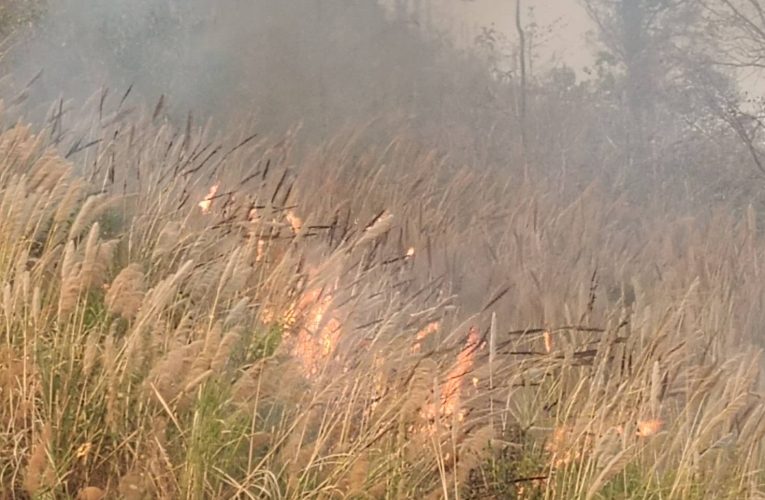 สั่งเร่งควบคุมไฟป่าให้ได้ใน48ชั่วโมงหลังค่าฝุ่นพิษพุ่งพรวด