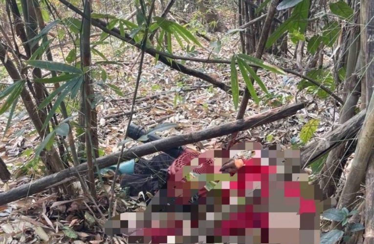 สุดอนาถเจ้าหน้าที่ลาดตระเวนช่วยดับไฟป่าสำลักควันดับ