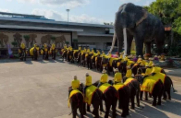 จาก 9 เชือกในปีที่ผ่านมา สู่เชือกแรกปีนี้ “พลายมิตรภาพ”