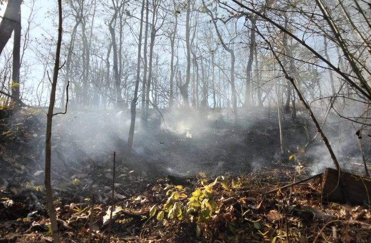 ประกาศเขตภัยพิบัติแล้วท่ามกลางยอดไฟป่าพุ่งพรวดต่อเนื่อง