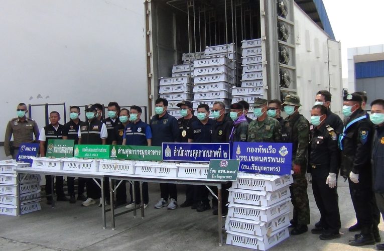 มุกดาหาร ศุลกากร สกัดจับรถบรรทุกลูกไก่เถื่อนซุกกล่องภาษาเวียดนาม