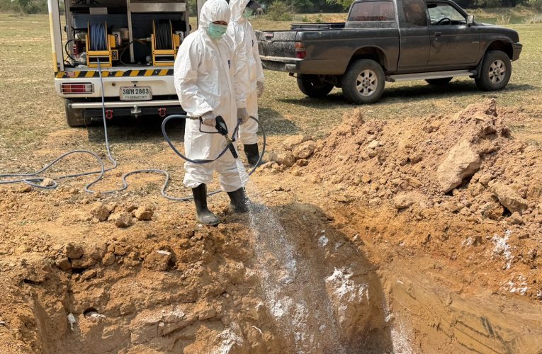 มุกดาหาร ด่านกักกันสัตว์ ร่วมหน่วยงานความมั่นคงทำลายซากลูกไก่เพื่อป้องกันการแพร่ระบาด