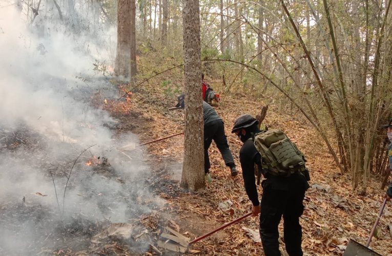 เร่งทำงานดับไฟป่าอย่างหนักหน่วง