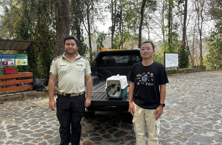 สัตว์ป่าหนีตายไฟป่าในพื้นที่แม่จริม ก่อนปล่อยคืนสู่ธรรมชาติอย่างปลอดภัย