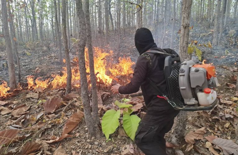 ระทึกดับไฟป่าแยกบ้านนาหมากปิน