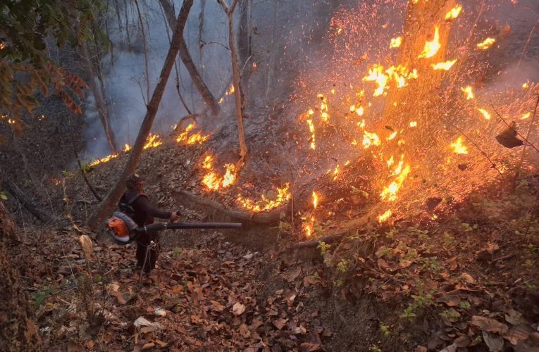 ไฟป่าหนักต่อเนื่องไม่แผ่ว