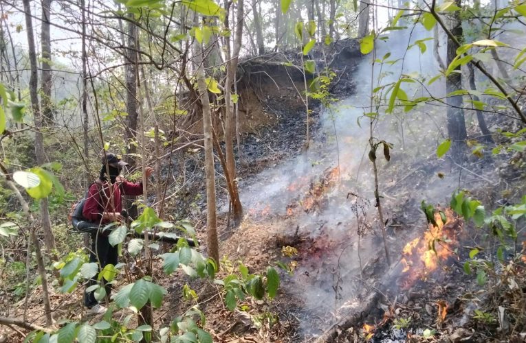 สถานการณ์ฝุ่นยังหนักต่อเนื่อง