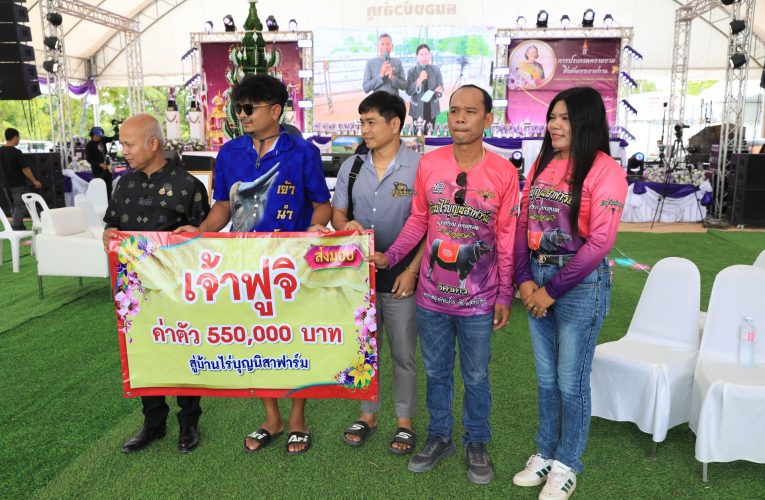 จังหวัดหนองบัวลำภู ชูไฮไลท์จดทะเบียนสมรสควายใน “วันอนุรักษ์ควายไทย” ประจำปี 2569 พร้อมเชิญชมการประกวดควายงาม รอบชิงถ้วยพระราชทานฯ หลังมีควายงามเข้าร่วมประกวดมากกว่า 1,200 ตัว