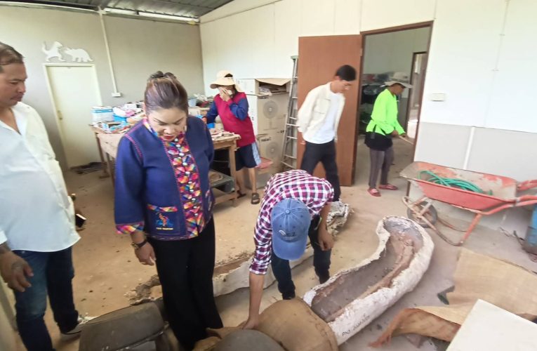 ชัยภูมิทุบสถิติพบไดโนเสาร์ชนิดใหม่ที่สุดของโลกใหญ่ที่สุดในอาเซียนพญานาคยักษ์แห่งชัยภูมิ