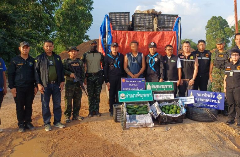 มุกดาหาร ทหารพราน 2103 สนธิกำลังตรวจยึดอะโวคาโดสด 2700 กก