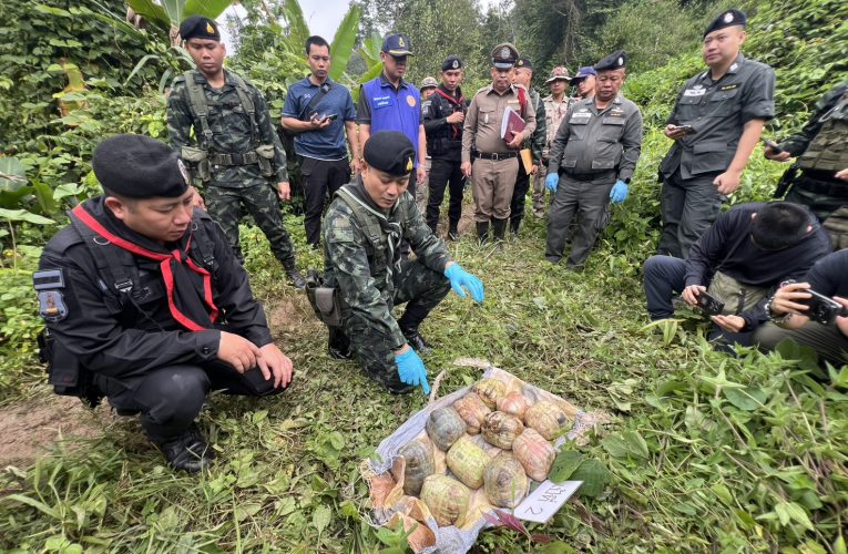 ทหารปะทะขบวนลักลอบขนยาเสพติดยึดได้2เป้