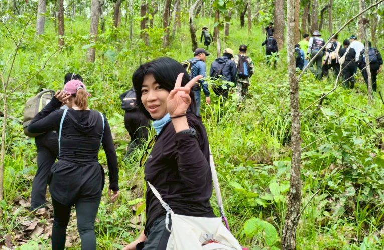 เส้นทางเดินป่าแพมบก