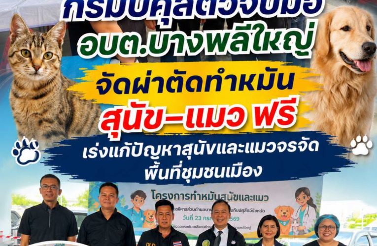 สมุทรปราการ 23769 กรมปศุสัตว์ จับมือ อบต.บางพลีใหญ่ จัดโครงกานผ่าตัดทำหมันสุนัข-แมว ฟรี เร่งแก้ปัญหาสุนัขและแมวจรจัดพื้นที่ชุมชนเมือง