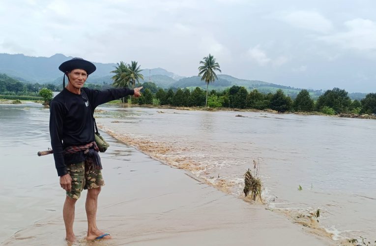 หวั่นทุเรียนดอยตายยกสวน