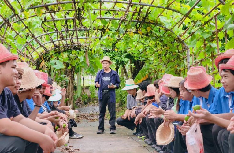 #วิทยาลัยการอาชีพหนองคาย  จัดโครงการ อบรมเชิงปฏิบัติการ การพัฒนาผู้เรียน เพื่อเตรียมความพร้อมรับการประเมินเป็นสถานศึกษาพอเพียง