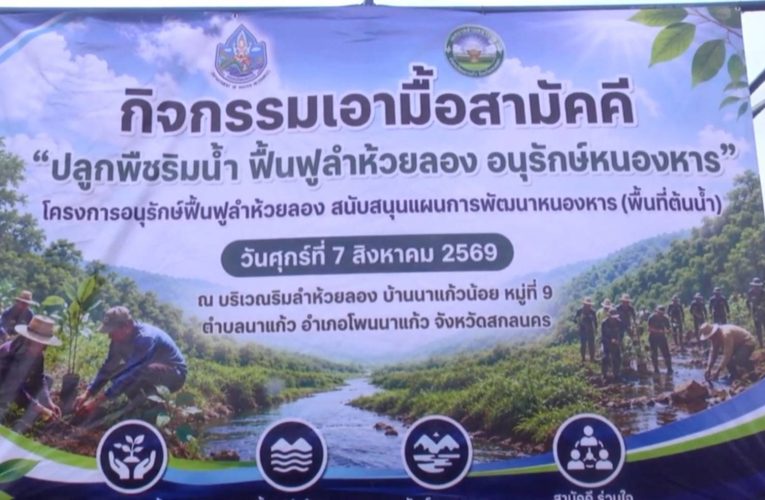 สกลนคร ปลูกหญ้าแฝกป้องกันการชะล้างตลิ่งรักษาระบบนิเวศห้วยลอง