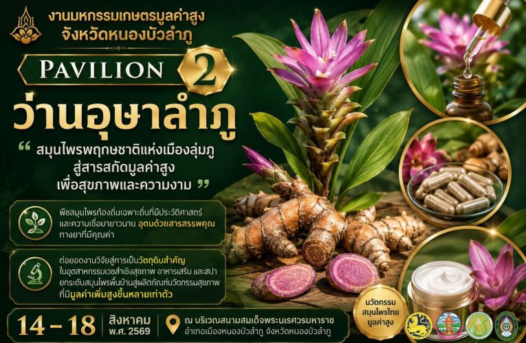 สุรศักดิ์ พ่อเมืองลุ่มภู เชิญชมความมหัศจรรย์ของ”ว่านอุษาลำภู”@ กาแฟภูซาง”เสน่ห์แห่งเมืองลุ่มภู