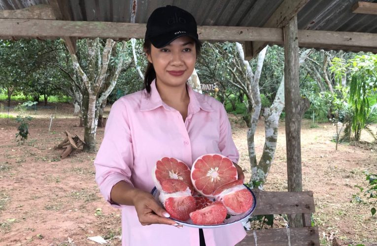 ชัยภูมิชวนเที่ยวชิมส้มโอแดงภูคิ้งออแกนิคนั่งเรือชมธรรมริมเขื่อนน้ำพรมที่บ้านบุ่งสิบสี่