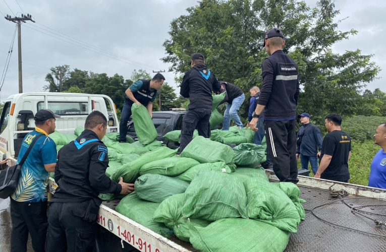 มุกดาหาร ชุดพระพิรุณ ไล่ล่าสกัดจับรถขนหนังหมูเถื่อนกว่า 2 ตันรวบผู้ต้องหาได้ 1 ราย