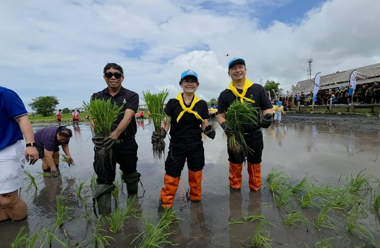 ปกครองระยอง ชวนร่วมประเพณีลงแขกดำนา อนุรักษ์แปลงนาผืนสุดท้ายใจกลางเมืองระยอง เนื่องในวันแม่แห่งชาติ ‘ปลูกวันแม่’
