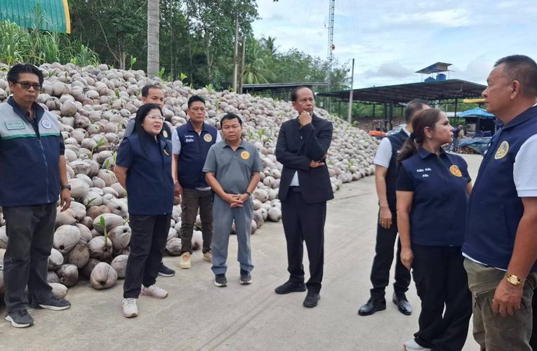 ผู้ว่าฯ ประจวบฯ ลงพื้นที่บางสะพาน ติดตามโครงการดูดซับมะพร้าวผลแก่ ปี 2569 ช่วยเกษตรกร 7 อำเภอ ยอดซื้อขายกว่า 8.6 แสนผล