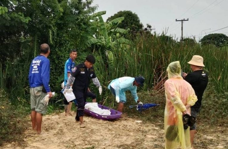 ราชบุรี – พบชายเสีEชีวิตกลางดงกล้วยคาดถูกไฟฟ้าดูด