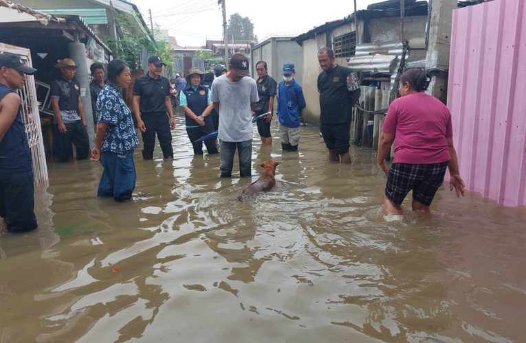 จังหวัดลพบุรี 260969 มวลน้ำใน 4 ตำบล ไหลลงตำบลท่าแค ชาวบ้านเดินฝ่าสายฝนบุกโรงสูบน้ำจี้หน่วยงานรับผิดชอบ