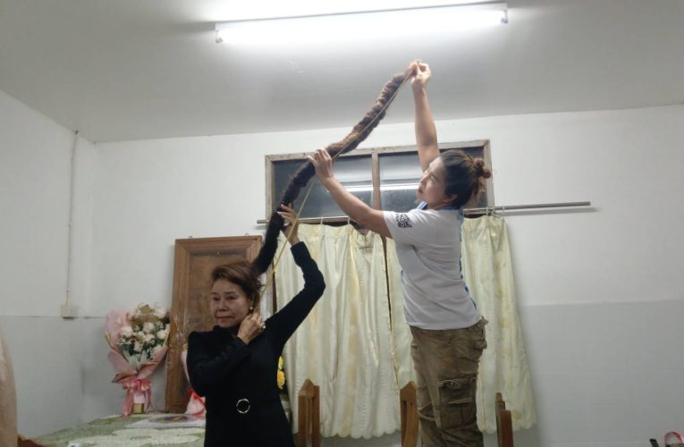 สาววัยหกห้าปีไว้ผมยาวหนึ่งเมตรสามสิบเซนติเมตรเชื่อเป็นศิริมงคลรุ่งเรือง