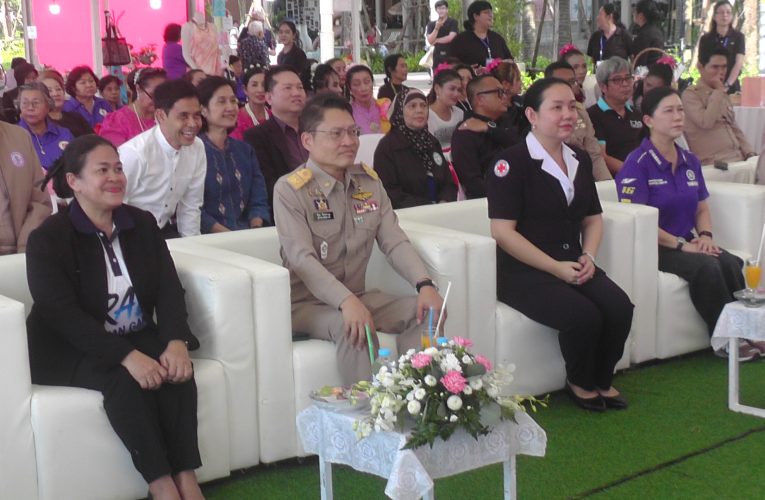 พัฒนาสังคมมนุษย์ยกระดับคุณภาพชีวิตสร้างอาชีพที่ยั่งยืนในทุกมิติเติมโอกาสแสดงศักยภาพต่อยอดขยายผลผลิตภัณฑ์เด็กในครัวเรือนเปราะบางผู้สูงอายุคนพิการสตรีผู้ด้อยโอกาสกระบี่